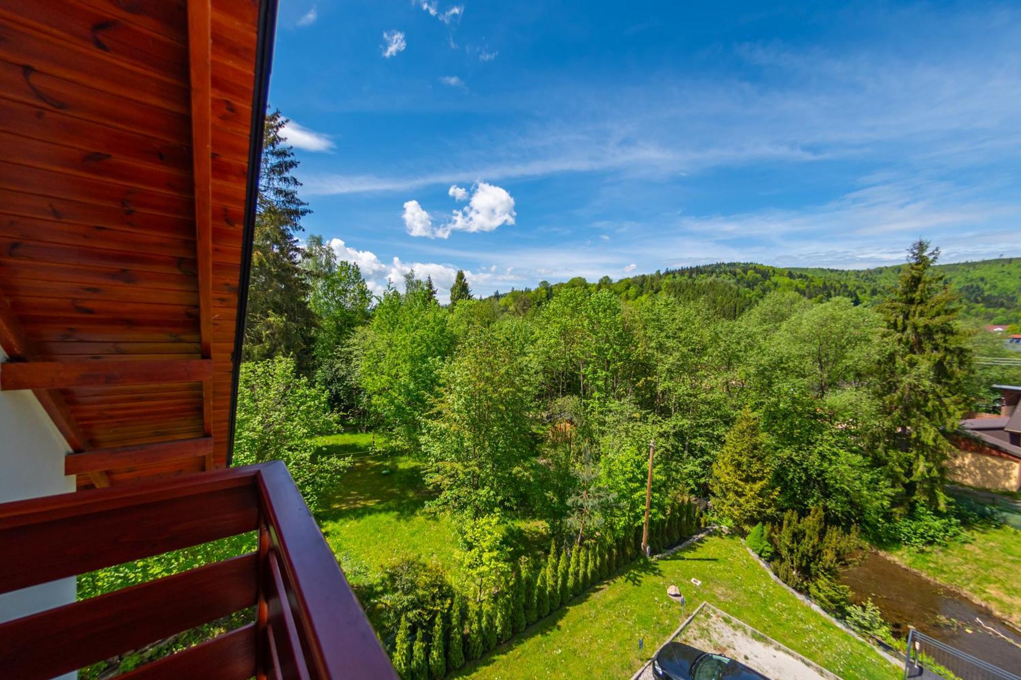 Malinowa Dolina Apartment Wisla Exterior photo